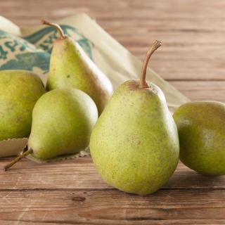 Birne Gräfin von Paris