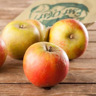 Apfel Red Jonaprince  ´65+/75+