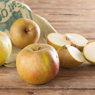 Apfel Boskop GRÜN