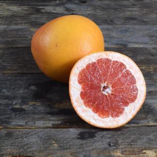 Grapefruit rot Star Ruby