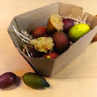 Limetten Kaviar grün/gelb