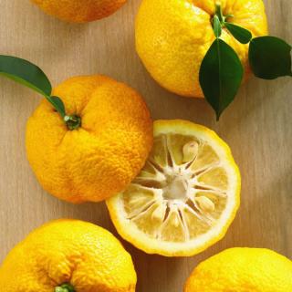 Zitronen Ichang-Papeda große Yuzu