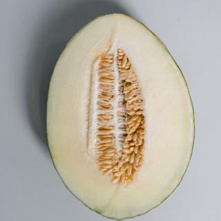 Honigmelone Piel de Sapo 4-5 St