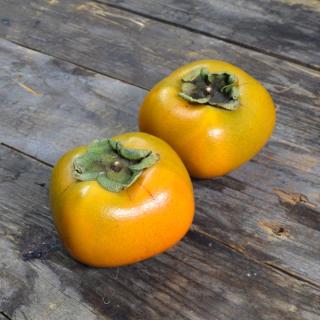 Kaki Rojo/Brillante gelegt ca. 180g