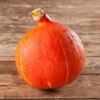 Kürbis Hokkaido rot  ´800-1200g