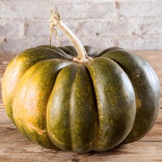 Kürbis Muskat de Provence