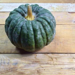 Kürbis Buttercup rot