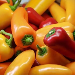 Paprika bunt & spitz
