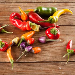 Chili bunter Mix