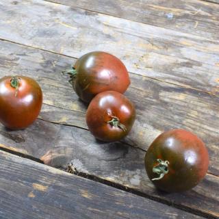 Tomaten Cherry-Roma Chico Pearl