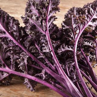 Grünkohl Rote Palme