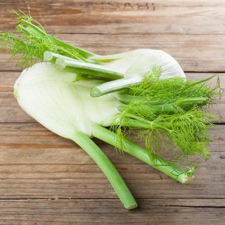 Fenchel samenfest
