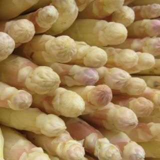 Spargel weiß 18+ | Beelitz