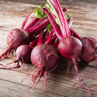 Bete rot rund im Bund