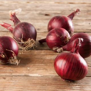 Zwiebeln rot