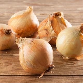 Gemüsezwiebeln GELB halbtrocken  ´60-80