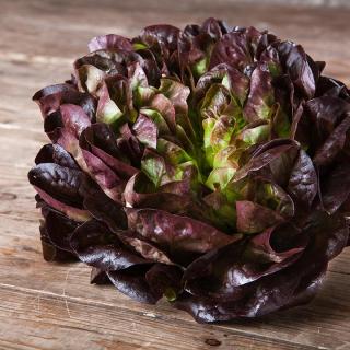 Salat Kopf rot