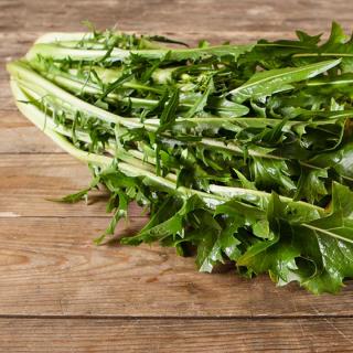 Puntarelle (Vulkanspargel)