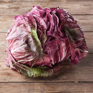 Salat Radicchio lang Treviso
