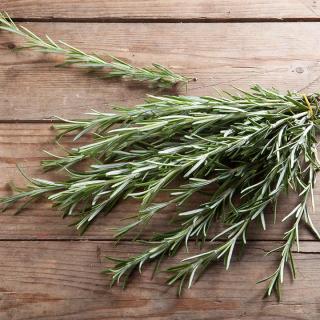 Rosmarin samenfest ´30g+